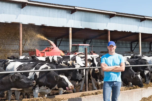 Hombre agricultor que trabaja en la granja con vacas lecheras — Foto de Stock