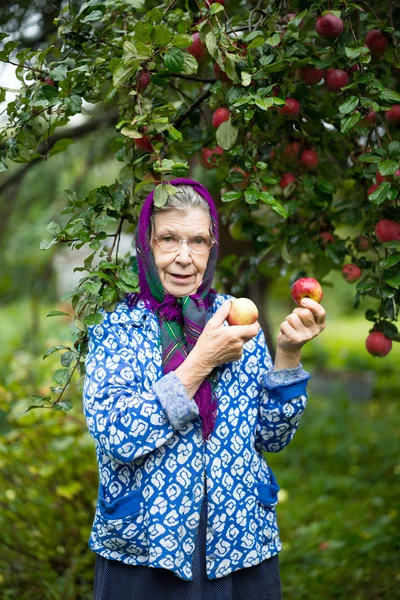 Ältere Frau in einem Apfelgarten — Stockfoto