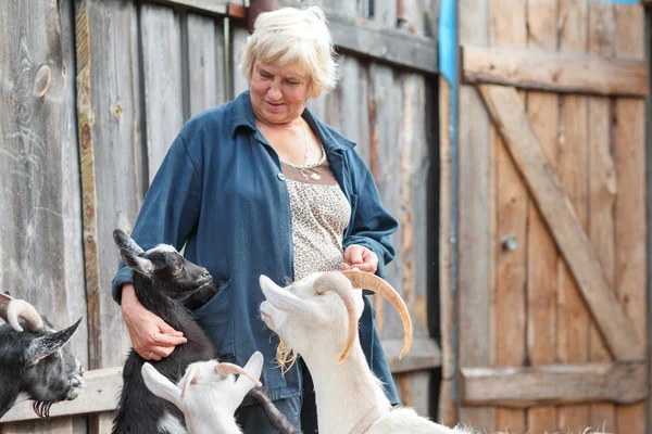 Agricultor com cabras — Fotografia de Stock
