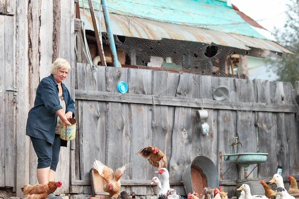 Woman farmer feeds chickens and geese — Stock Photo, Image