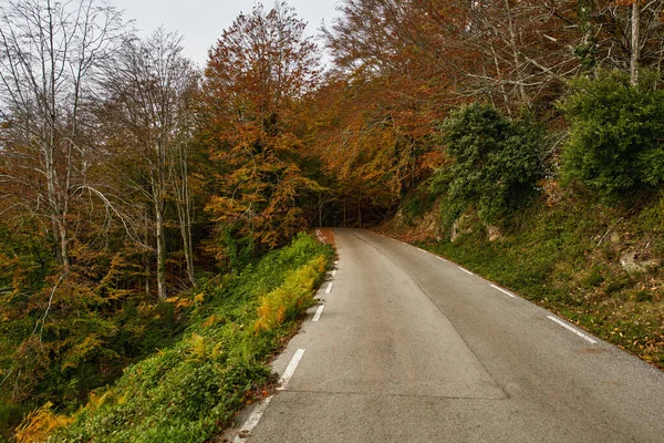 View Mountain Road Asphalt Roads Autumn Season — Stock Photo, Image