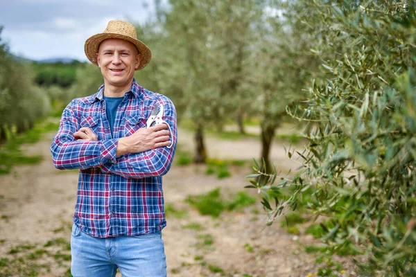 Homme agriculteur avec chapeau de paille à la plantation d'oliviers. — Photo