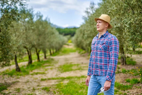 Człowiek rolnik w słomkowym kapeluszu na plantacji oliwek. — Zdjęcie stockowe