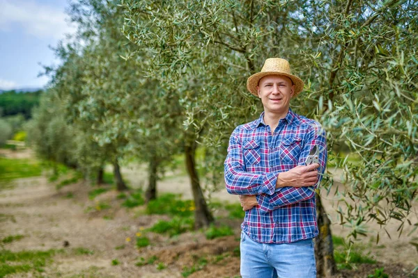 Человек фермер в соломенной шляпе на оливковой плантации. — стоковое фото