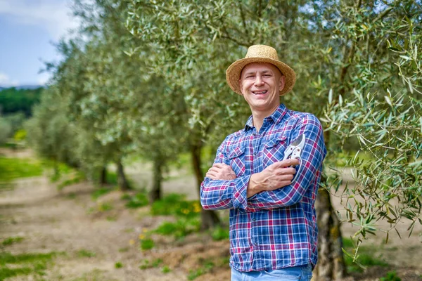 Człowiek rolnik w słomkowym kapeluszu na plantacji oliwek. — Zdjęcie stockowe