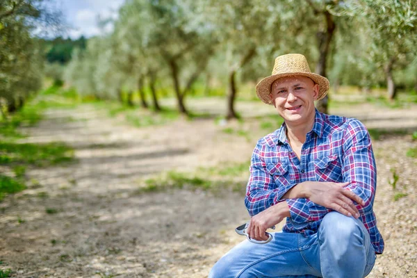 Homem agricultor com chapéu de palha na plantação de oliveiras. — Fotografia de Stock