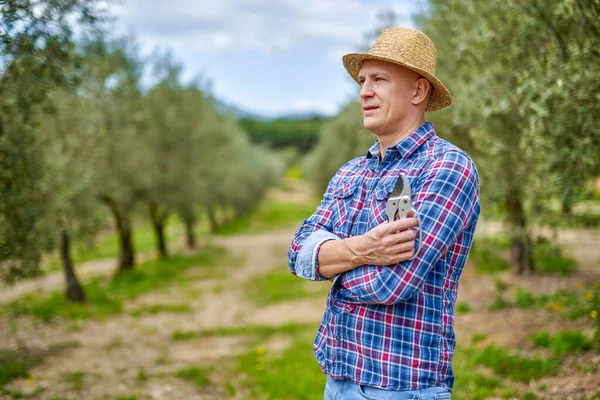 Чоловік фермер з солом'яним капелюхом оглядає оливкові плантації . — стокове фото