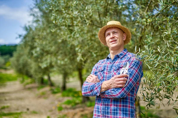 Homme agriculteur avec chapeau de paille inspecte la plantation d'oliviers. — Photo