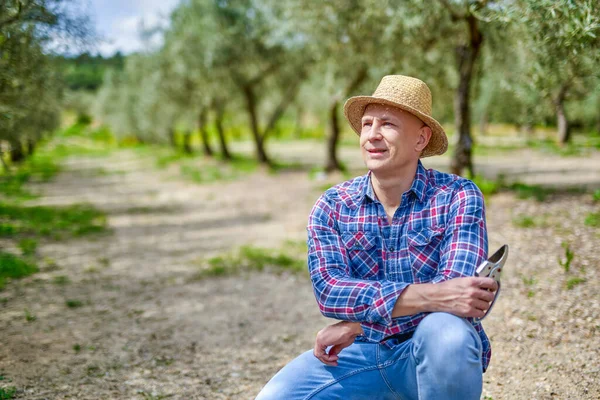 Homem agricultor com chapéu de palha inspeciona plantação de oliveira. — Fotografia de Stock