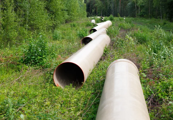 Pipe line — Stock Photo, Image