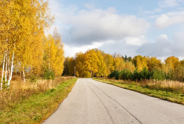 Estrada na floresta de outono — Fotografia de Stock