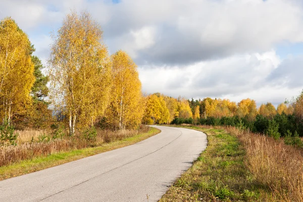 Sonbahar ormanında yol — Stok fotoğraf