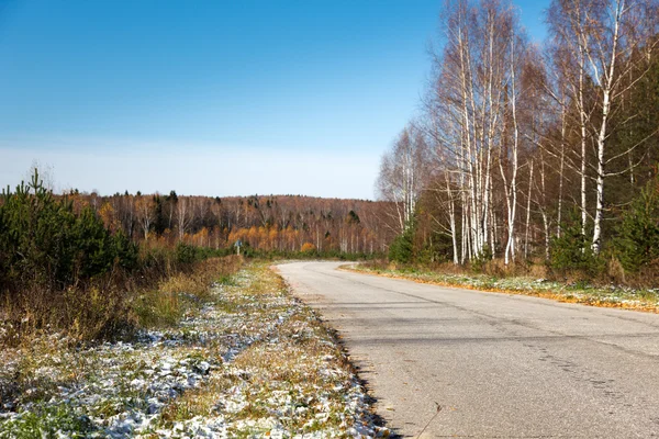 Road in the autumn forest — Stock Photo, Image