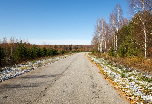 Road in the autumn forest — Stock Photo, Image