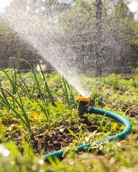 庭の水まき装置 — ストック写真