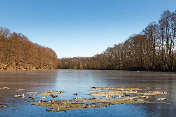 Buiten weergave van bevroren — Stockfoto