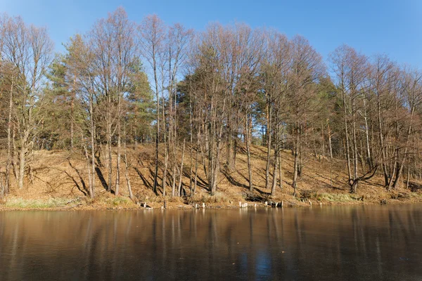 Vista al aire libre del lago congelado en invierno —  Fotos de Stock