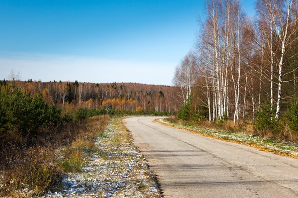 Road in the autumn forest — Stock Photo, Image