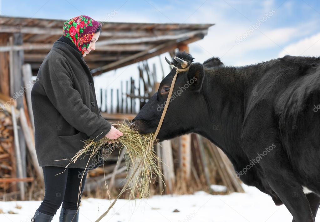 rancher in casual  winter clothesin  stands  with cow