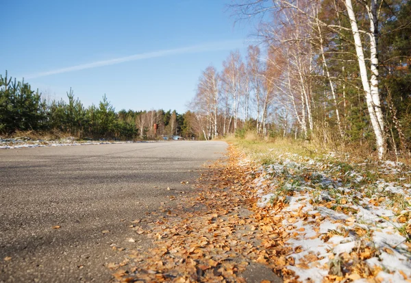 Road in the autumn forest — Stock Photo, Image