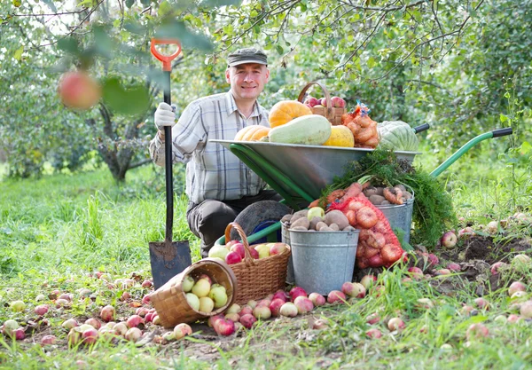 Człowiek w ogrodzie z uprawy — Zdjęcie stockowe