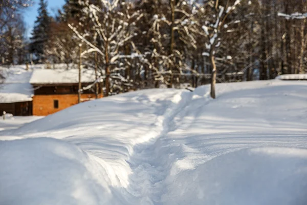 Śnieg ścieżka w zimowy dzień — Zdjęcie stockowe