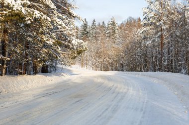 Kış yol snowy orman