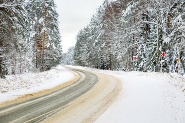 Kış yol snowy orman