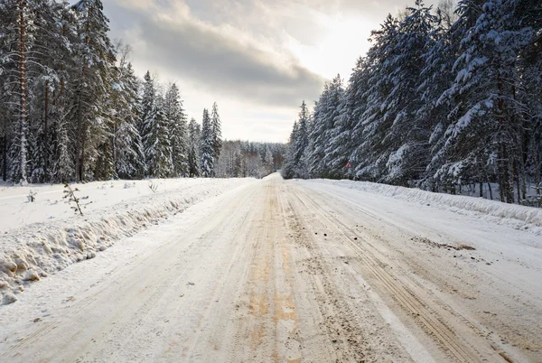 Winter weg in besneeuwde bos — Stockfoto