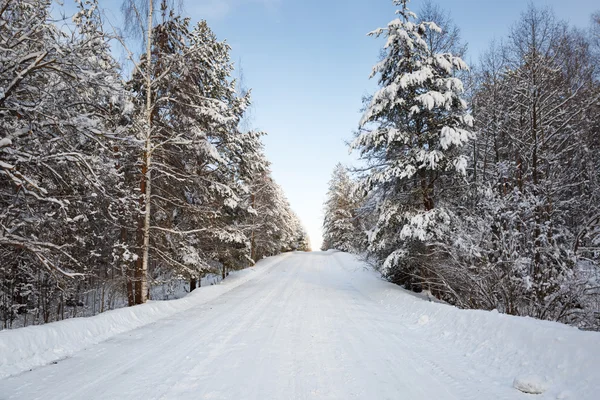 Strada invernale nella foresta innevata — Foto Stock