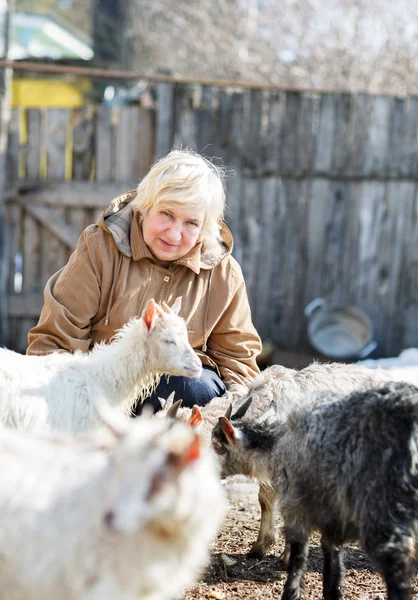 Elderly woman watching young goats — Stock Photo, Image