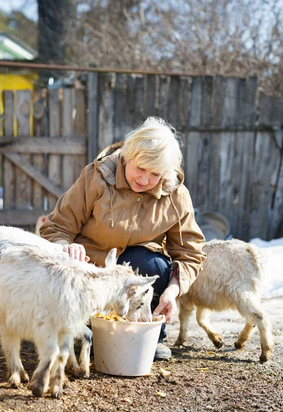 Oudere vrouw voederen geiten op de boerderij — Stockfoto