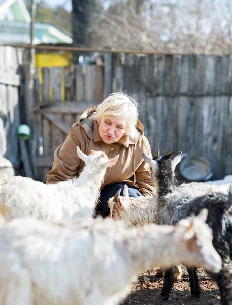 Oudere vrouw voederen geiten op de boerderij — Stockfoto