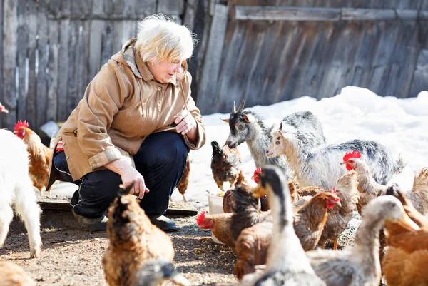 Happy adult woman cares little goats and chickens — Stock Photo, Image