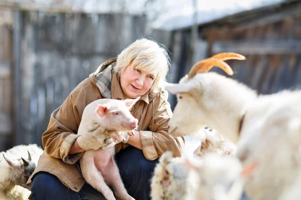 Bäuerin hält ein kleines Schwein — Stockfoto