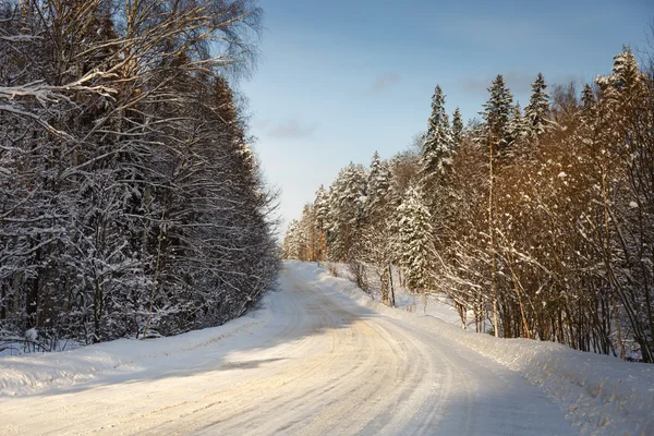 在白雪皑皑的森林里冬天路 — 图库照片