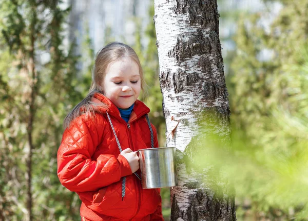 Ребенок собирает березовый сок в весеннем лесу — стоковое фото