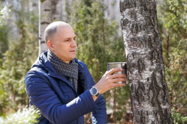 Adam huş ağacı sap toplama ormanda