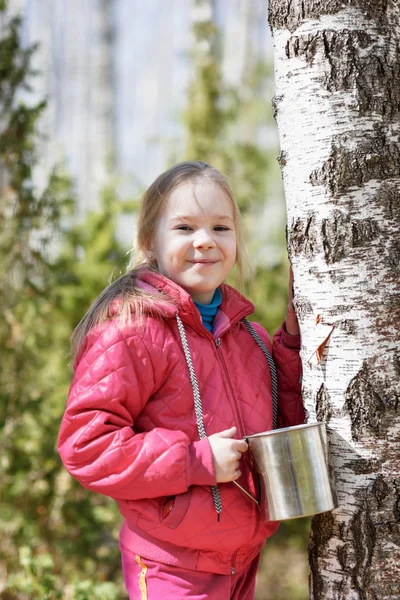 Bambina raccoglie linfa di betulla nei boschi — Foto Stock