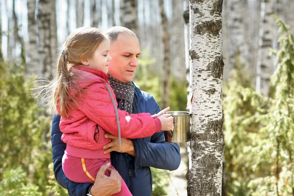 Aile için çelik kupa huş ağacı sap toplama ahşap