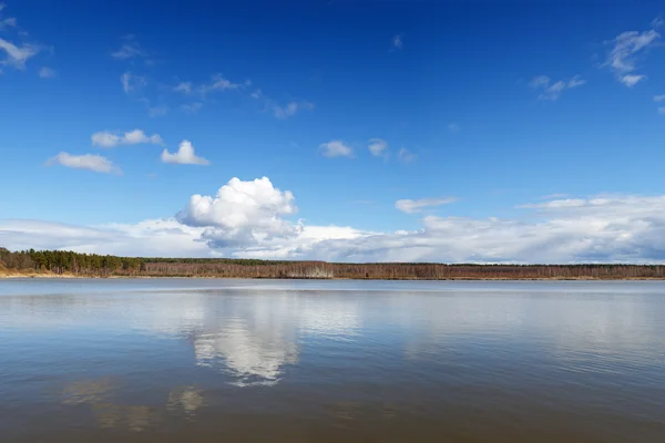 Forest lake — Stockfoto