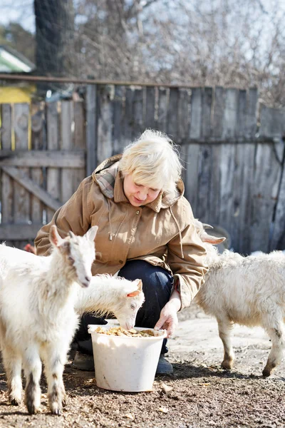 Oudere vrouw voederen geiten op de boerderij — Stockfoto