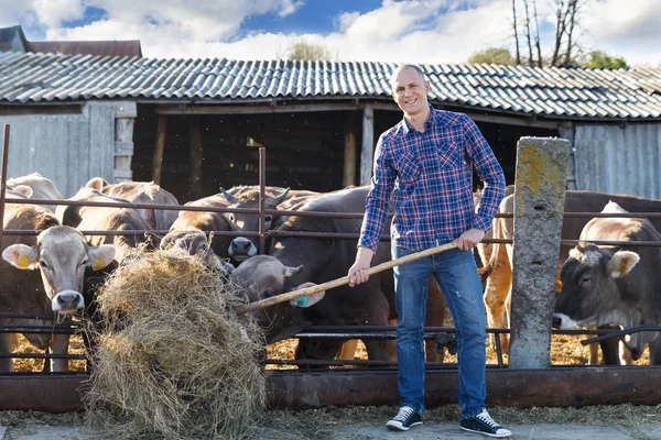 농장에서 목축업을 하는 남성 목 장주 — 스톡 사진