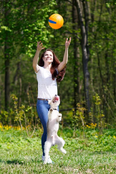 Портрет Красивой молодой девушки со своими собаками — стоковое фото