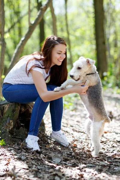 Retrato de bela jovem com seus cães — Fotografia de Stock