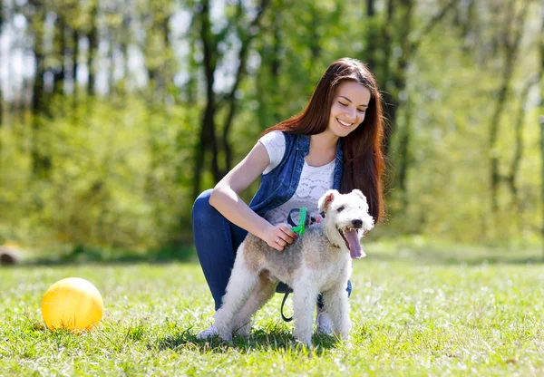 Portrait de belle jeune fille avec ses chiens — Photo