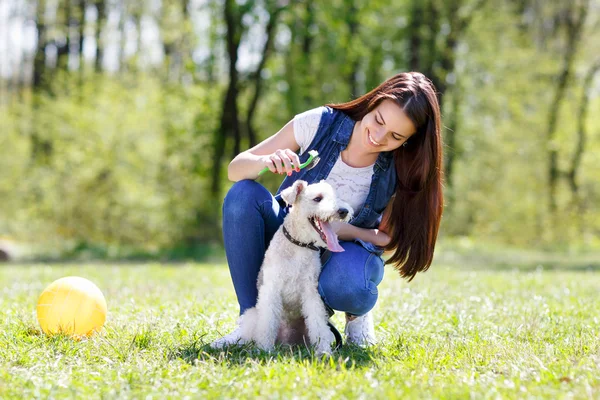 Portrait of Beautiful young girl with her dogs — Stock Photo, Image