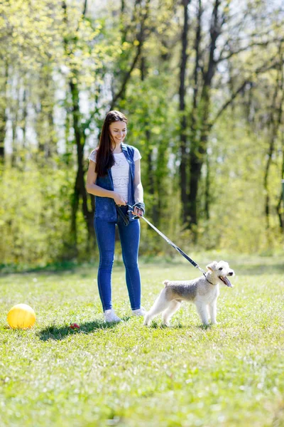 Portret piękna, młoda dziewczyna z jej psów — Zdjęcie stockowe