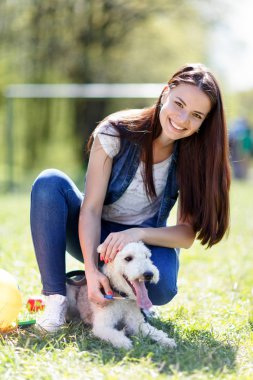 güzel genç kız onun köpekleri ile portresi  