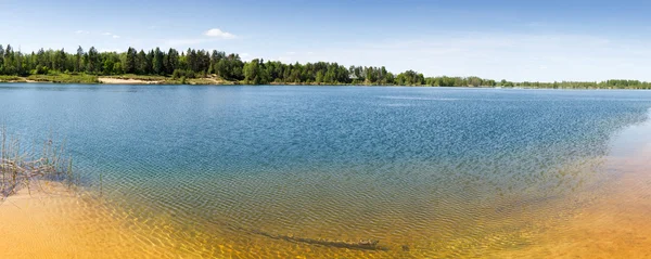 Forest Lake με αμμουδιά κρεβάτι κάτω — Φωτογραφία Αρχείου